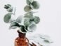 DIY Raumduft Verteilerselber machen, ein hübscher Eukalyptuszweig aus Filz dient als Duftspender für ätherische Öle und feine Duftmischungen. DIY Anleitung auf craftroomstories.com